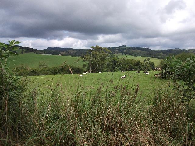 tamworth 005.JPG